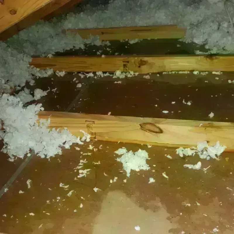 Attic Water Damage in Chester, VA