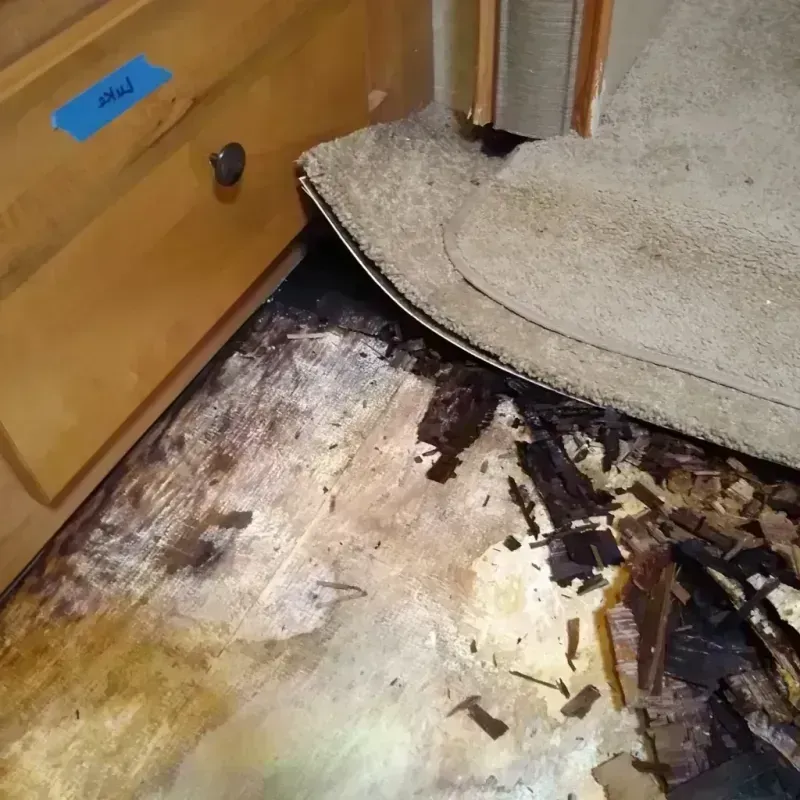 Wood Floor Water Damage in Chester, VA